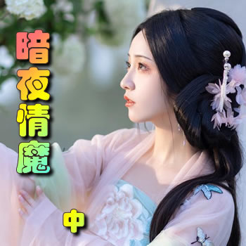 暗夜情魔(中)